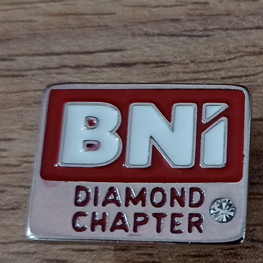 PIN DIAMOND CHAPTER 1 PEDRA