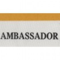 TARJAS - Ambassador - PACOTE COM 10 UNIDADES.